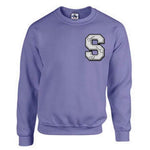 Varsity Sweatshirt